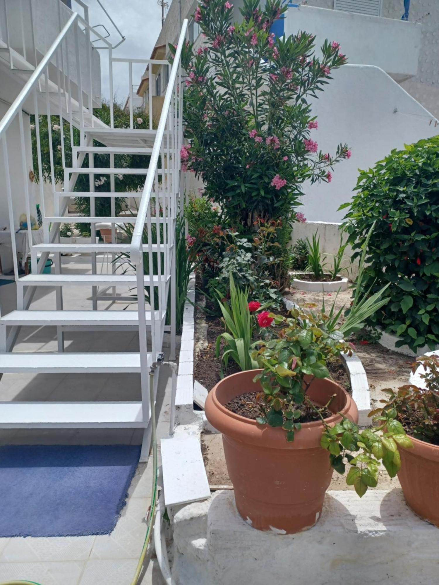 Mastichari Nektaria Studio Apartment Екстериор снимка